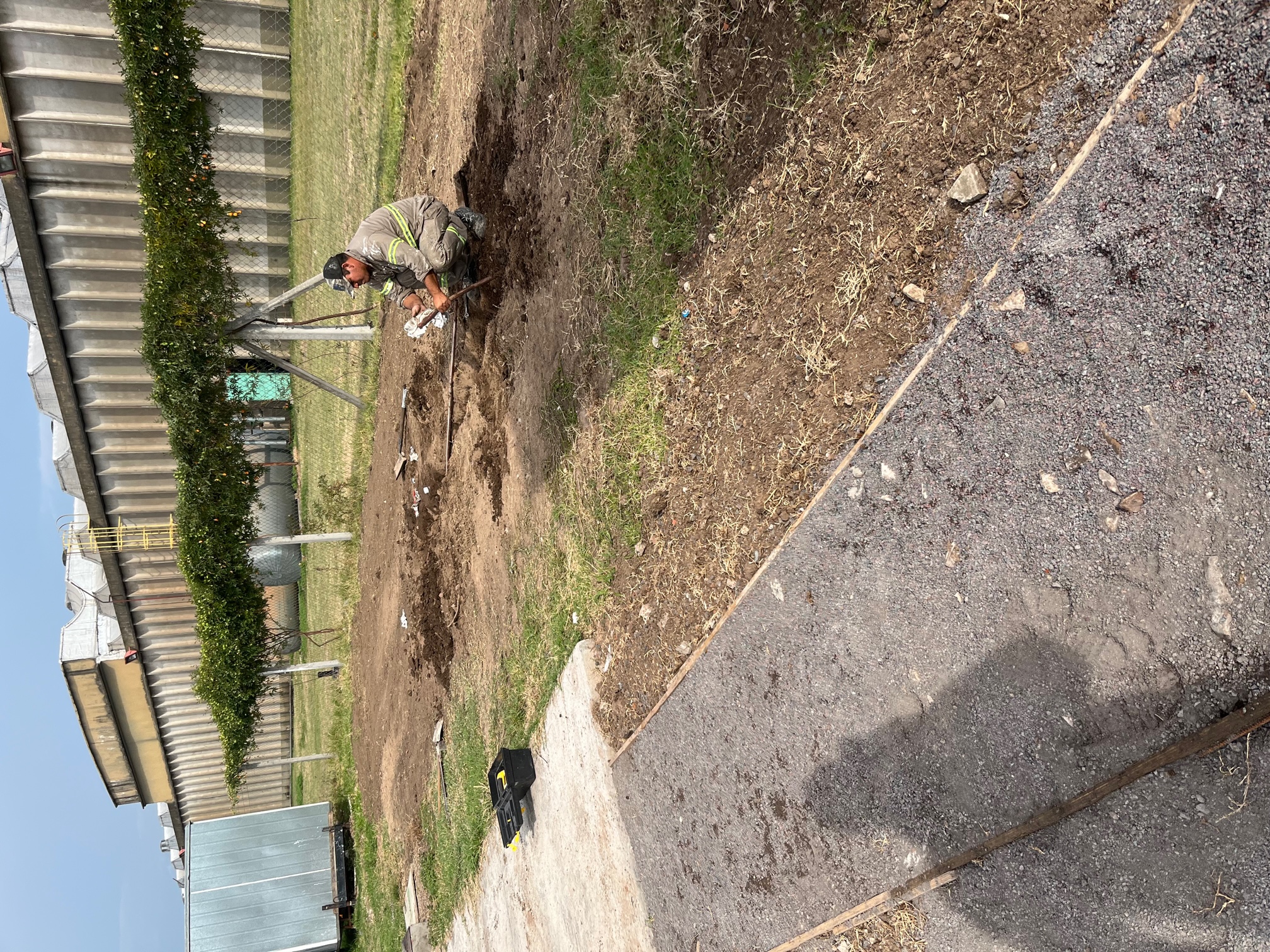 tendido_cloacal-image1